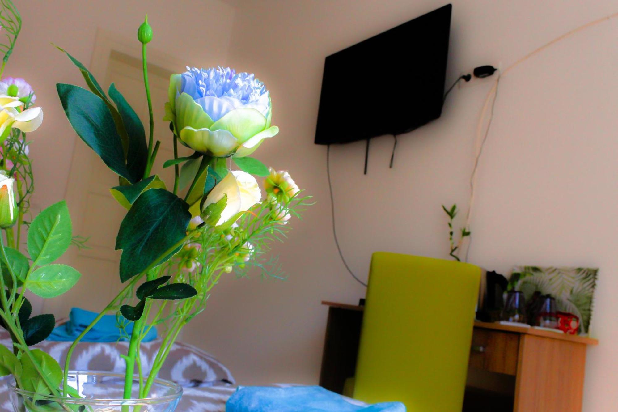 Fluminis Rooms Rijeka Dış mekan fotoğraf